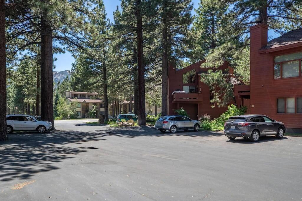 Townhouse Art Gallery In Mammoth's Location * Mammoth Lakes